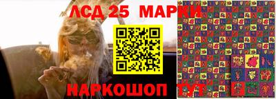 гашик Конаково